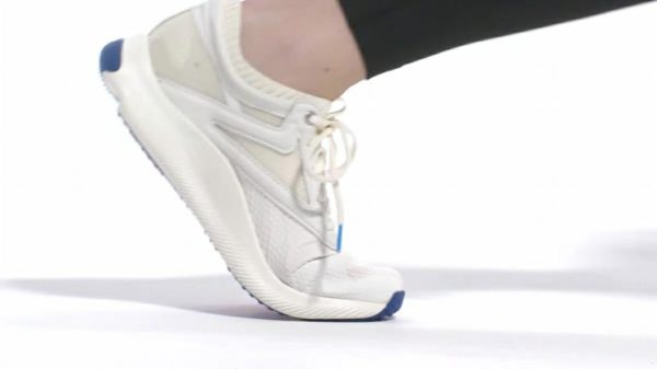 Essenceedge.shopd162bb1af1 2